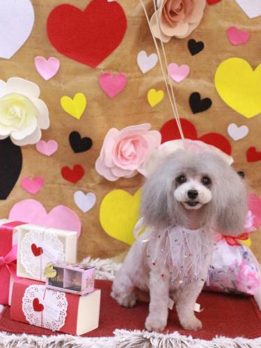 20230201ありすちゃん